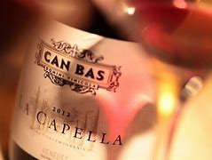 Image result for capellar