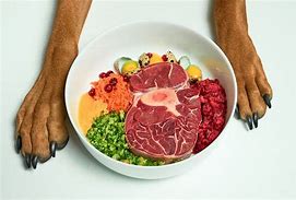 Image result for Raw Dog Food