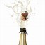 Image result for Bottle Pouring Champagne PNG