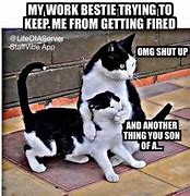 Image result for Cat Tried to Get Me Fired Boss Meme