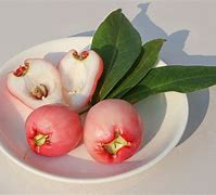 Image result for Rose Apple Fruit Cut