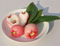 Image result for Rose Apple Fruit Seed
