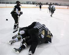 Image result for Kids Fight Hockey