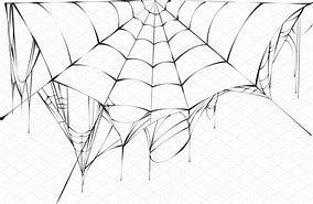 Image result for Spider Web Line Art