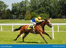 Image result for Horse Racing Car