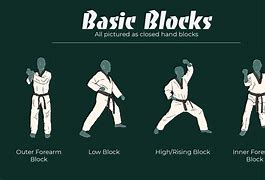 Image result for Taekwondo Stances