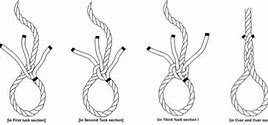 Image result for Rope Dog Toy No Background