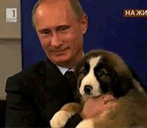 Image result for Putin HD Images