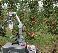 Image result for Fruit Picking Robot