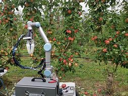 Image result for Fruit Picking Robot