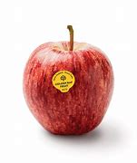 Image result for DoubleU Cordon Gala Apple Tree