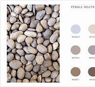 Image result for Pebble Colour