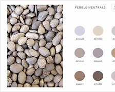 Image result for Pebble Time Color Dimensions