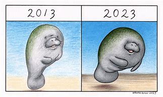 Image result for Ten Year Challenge
