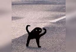 Image result for Russian Black Cat Meme