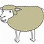 Image result for Draw Cartoon Sheep