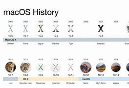 Image result for Mac OS Logo Evolution