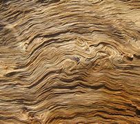 Image result for Extreme Wood Grain