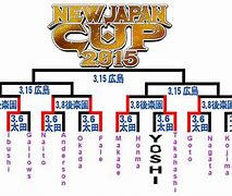 Image result for NJPW Championship Belts