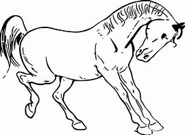 Image result for Drawing of Race Horse