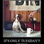 Image result for Tuesday Coffee Meme