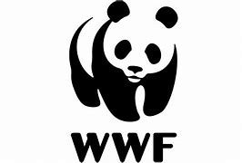 Image result for WWF Wrestling