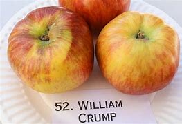 Image result for California Apple Varieties