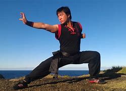 Image result for Kung Fu Training