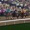 Image result for Horse Race Finish