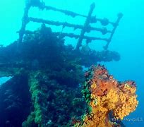 Image result for Coogee Wreck Dive