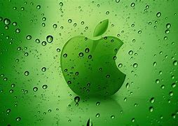 Image result for Green Apple iPhone Wallpaper