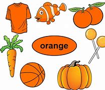 Image result for Objects with Different Colours