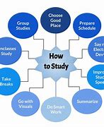 Image result for You Should Be Studying