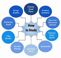 Image result for Should You Be Studiying