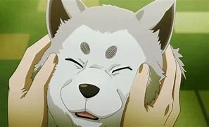 Image result for Kawaii Anime Pets