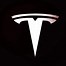 Image result for Car Brands. Sign Tesla