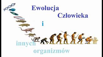 Image result for co_to_znaczy_Żywienie_człowieka