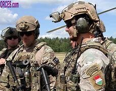 Image result for Hungarian Special Forces