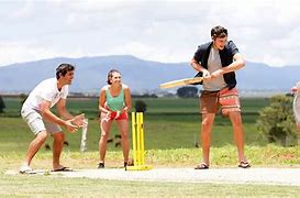 Image result for Backyard Cricket Ashes