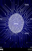 Image result for Digital Security Fingerprint
