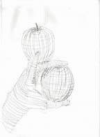 Image result for Cross Contour Drawing Apple