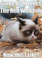 Image result for Tard Grumpy Cat Meme