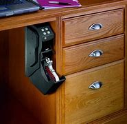 Image result for Thumbprint Gun Lock