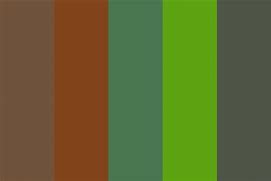 Image result for Natural Earth Color