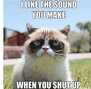 Image result for Best Grumpy Cat Memes of All Time