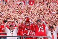 Image result for Ohio State Buckeye Fans