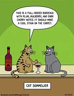 Image result for Funny Cat Work