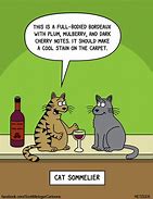 Image result for Funny Dirty Cat Memes