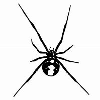 Image result for Black Widow Spider Drawing