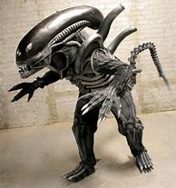 Image result for Alien Xenomorph Costume